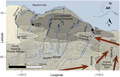 Shed female caribou antlers extend records of calving activity on the Arctic National Wildlife Refuge by millennia